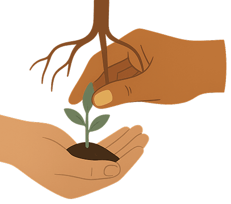 Hands holding plant